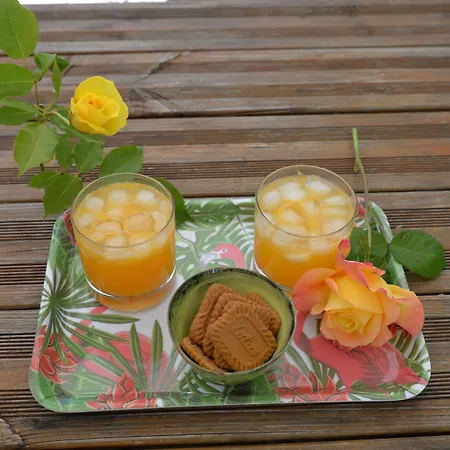 Hanna 3* Combas (Gard)