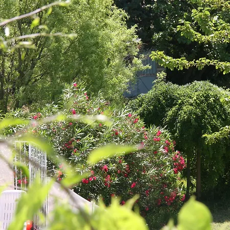 Hanna Отель типа 