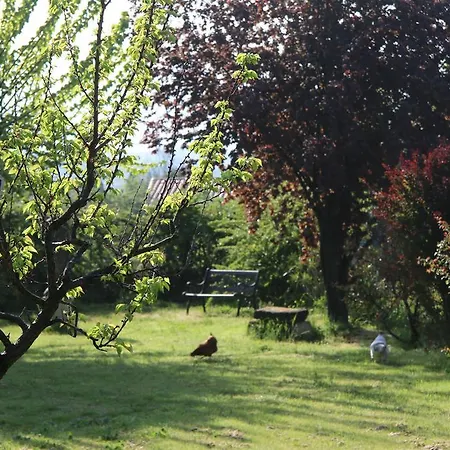 Hanna 3* Combas (Gard)